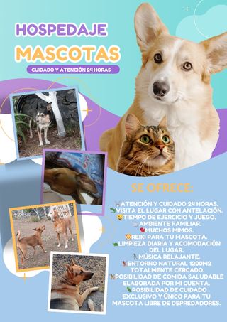 CUIDADORA DE ANIMALES