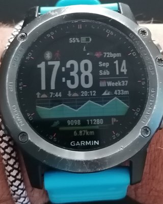 Reloj Garmin Fénix 3
