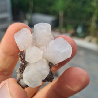 Minerali Collezione Cristalli Calcite Fujian Cina