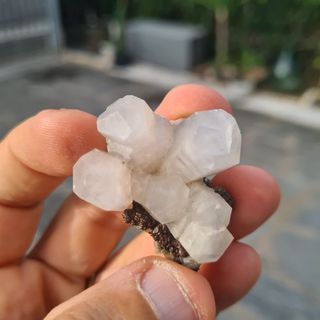 Minerali Collezione Cristalli Calcite Fujian Cina