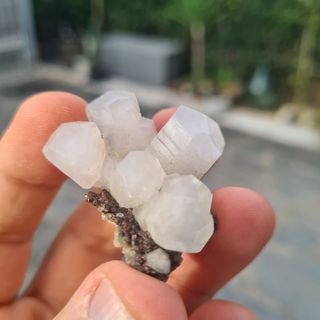 Minerali Collezione Cristalli Calcite Fujian Cina