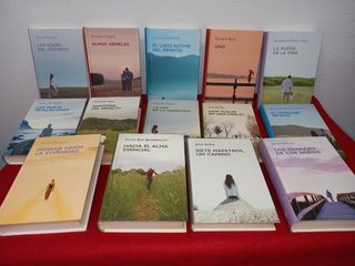 LOTE 14 LIBROS DE AUTOAYUDA