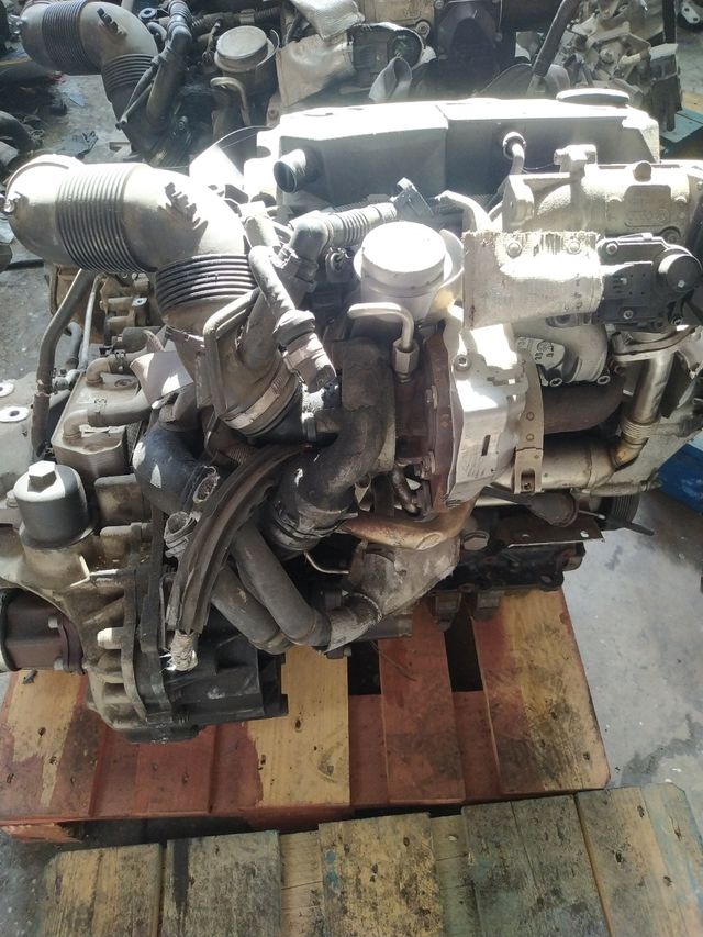 Motor Volkswagen bls 1.9tdi 105 CV