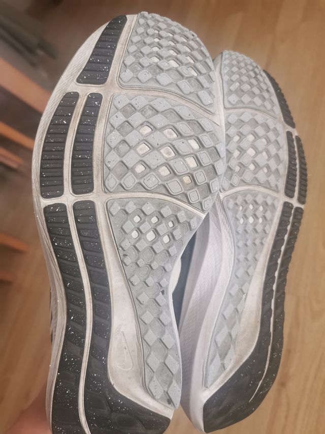 Nike zoom pegasus 39