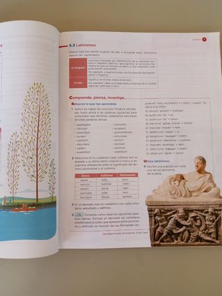 ESO 4 Latin Libro