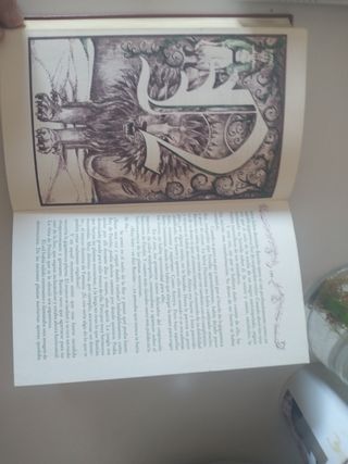 Libro la historia interminable