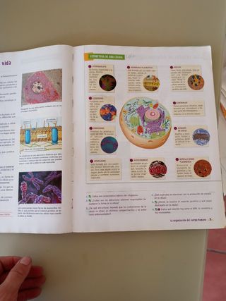BG Biologia y Geologoa Libro. secundaria