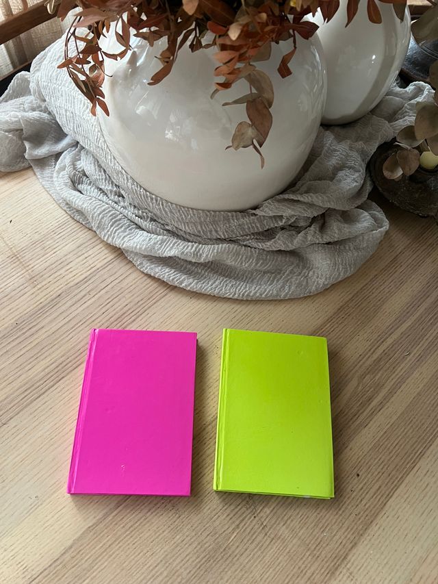 Pack de dos libretas de colores
