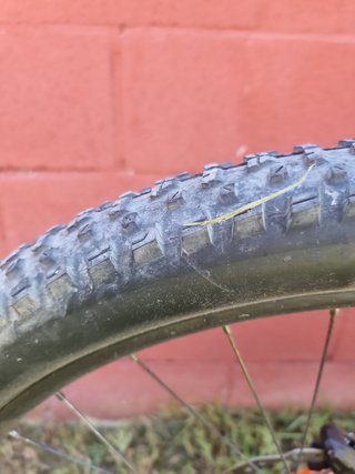 Mtb