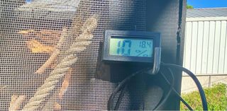 TERRARIO PARA REPTIL