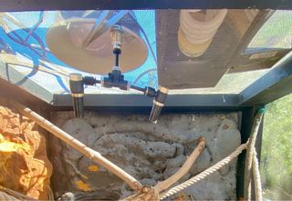 TERRARIO PARA REPTIL