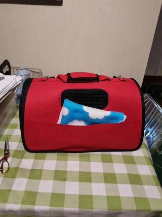 Trasportino per animali