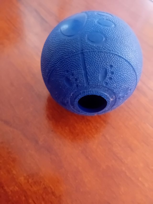 Juguete pelota perro