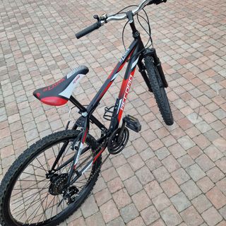 Mountanbike Stark Record - 24x1.90