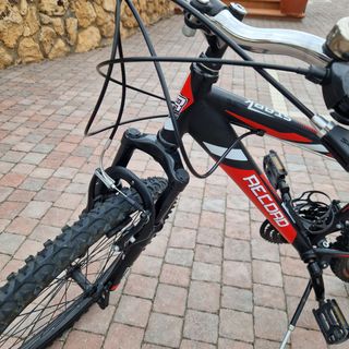 Mountanbike Stark Record - 24x1.90