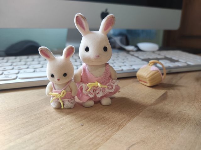 Sylvanian families - playa
