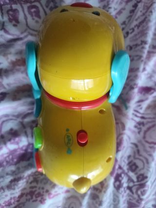 Perrito actividades con cuerda