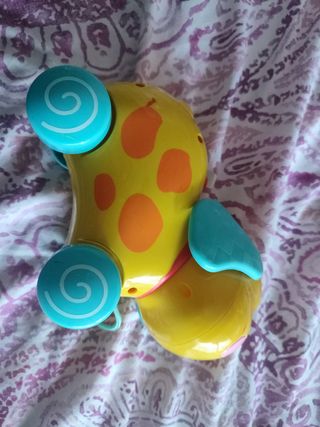 Perrito actividades con cuerda