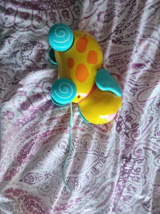 Perrito actividades con cuerda