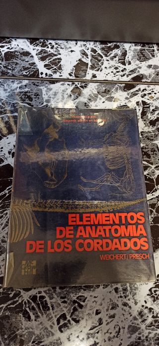 Elementos de Anatomía de los Cordados