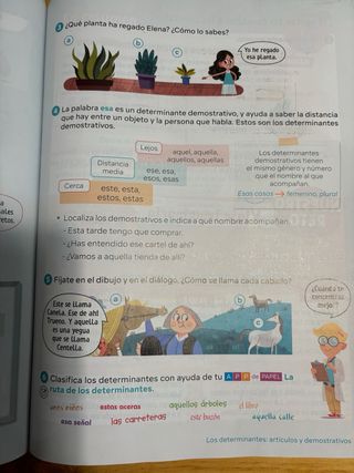 Libros tercero de primaria  y cuarto de primaria 