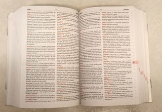 Dizionario Italiano Miot