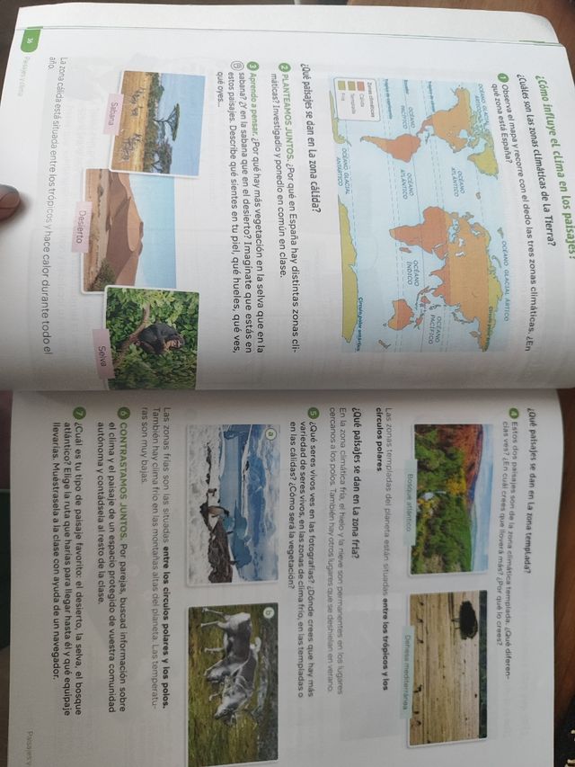 Conocimiento del medio natural 4