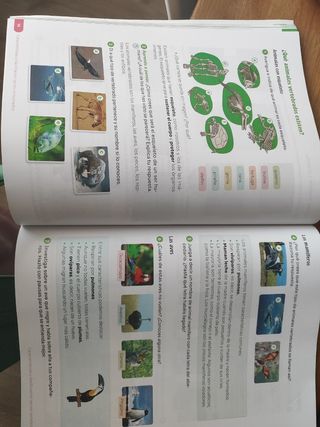 Conocimiento del medio natural 4