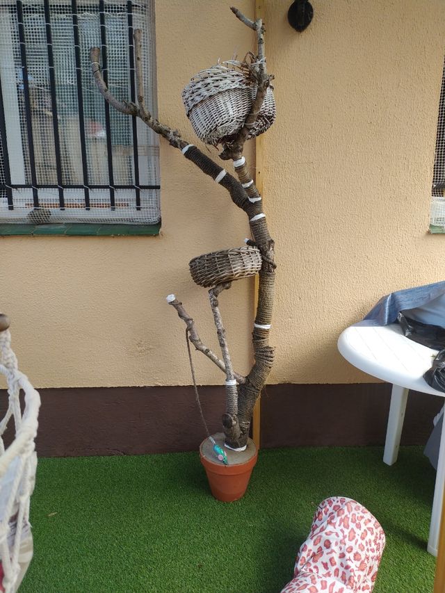 REGALO Árbol rascador