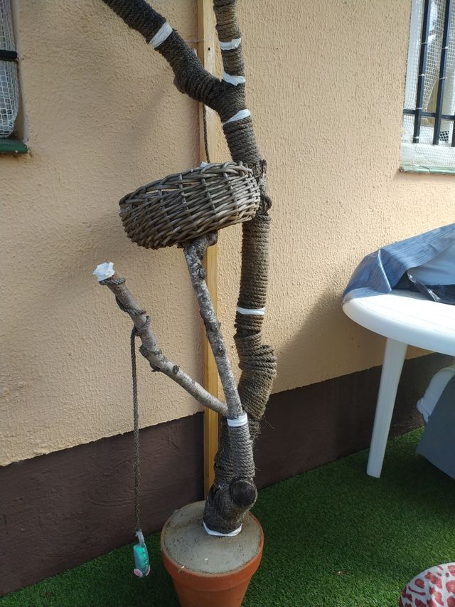 REGALO Árbol rascador