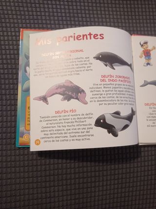 Cuento El delfín