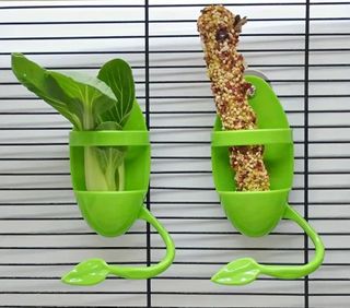 Comedero de hueso de sepia