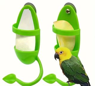 Comedero de hueso de sepia