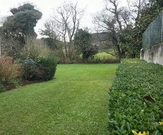 Mantenimiento de podas y desbroces