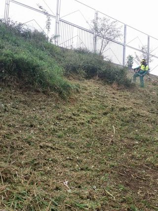 Mantenimiento de podas y desbroces