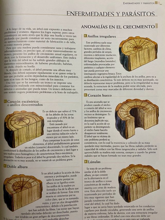 Guía práctica de la Madera. Carpintería