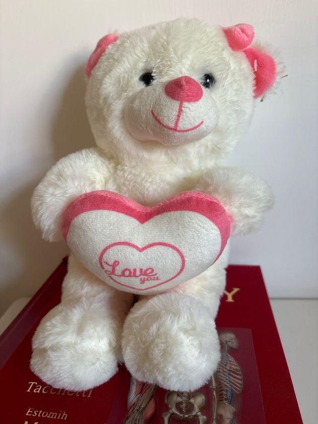 orsacchiotto love you