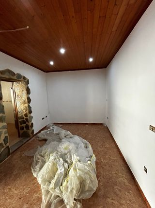 Pintor professional