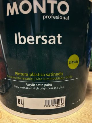 Pintor professional