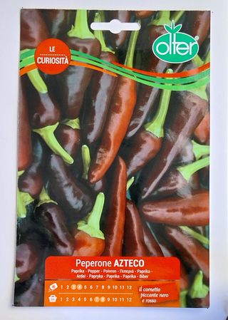 25 Semillas Guindilla Azteca