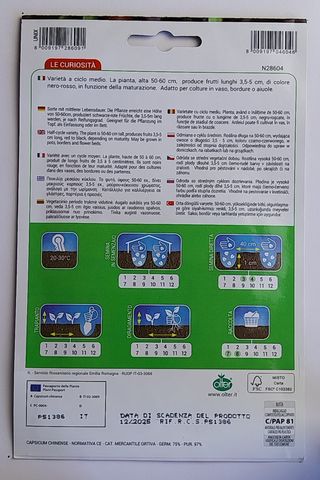 25 Semillas Guindilla Azteca