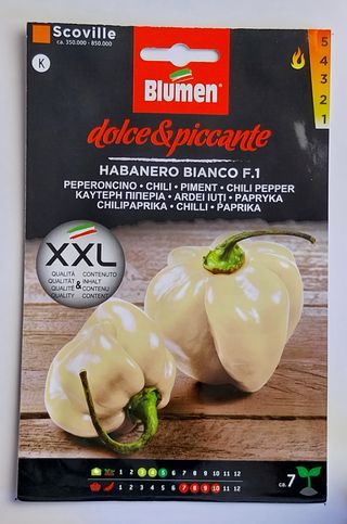 25 Semillas Guindilla Habanero Blanco F1 Picante 4