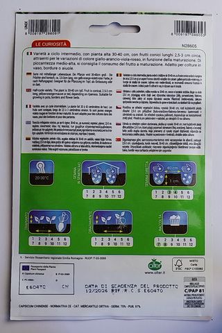 25 Semillas Guindilla Mechico