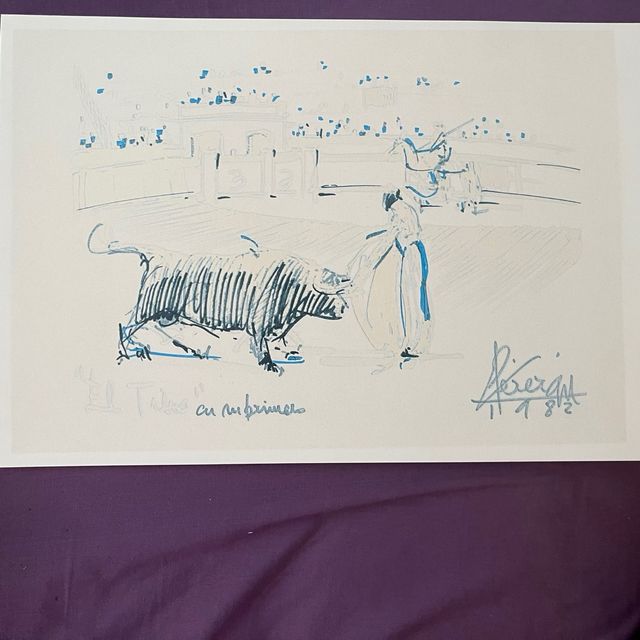 Lamina taurina de Perez Gil