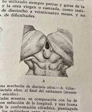 Vecchio libro di medicina 1929 organi, donna