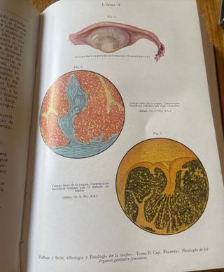 Vecchio libro di medicina 1929 organi, donna