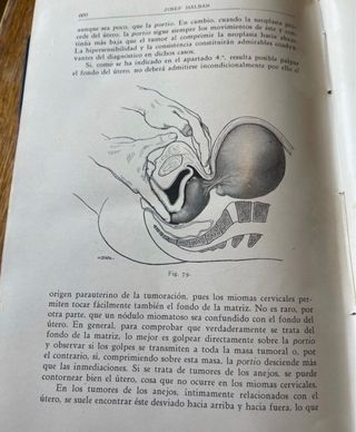 Vecchio libro di medicina 1929 organi, donna