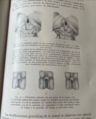 Vecchio libro di medicina 1929 organi, donna