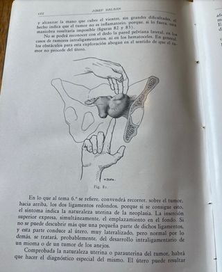 Vecchio libro di medicina 1929 organi, donna