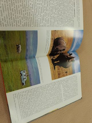 Animales Salvajes Feliz R. De la Fuente